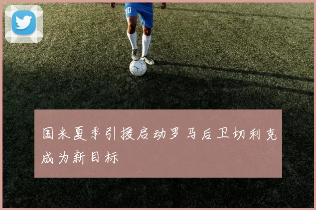国米夏季引援启动罗马后卫切利克成为新目标