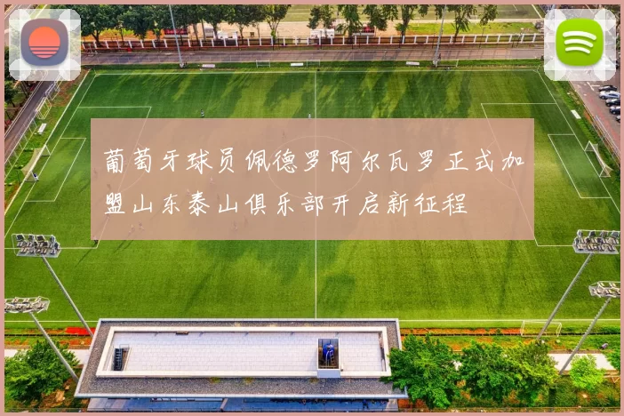 葡萄牙球员佩德罗阿尔瓦罗正式加盟山东泰山俱乐部开启新征程